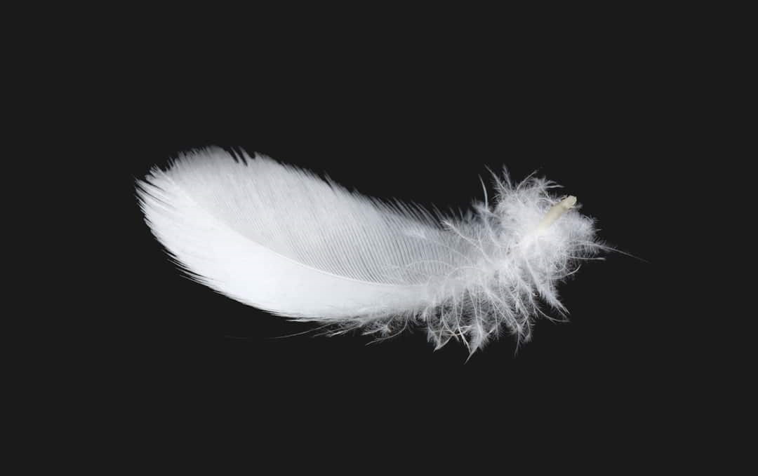 ROKA-PHANTOM_LAF_FEATHER-p-1080