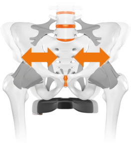 sqlab.Bild_.becken.opt_.Sattelbreite.010.Rigged.Bones_.Skin_.Pfeile.700x800_1-263x300
