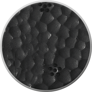 sqlab.sattel.6OX.infinergy.ergowave.active.material_1