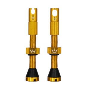 CK-Gold-42mm-Valve-1-300x300