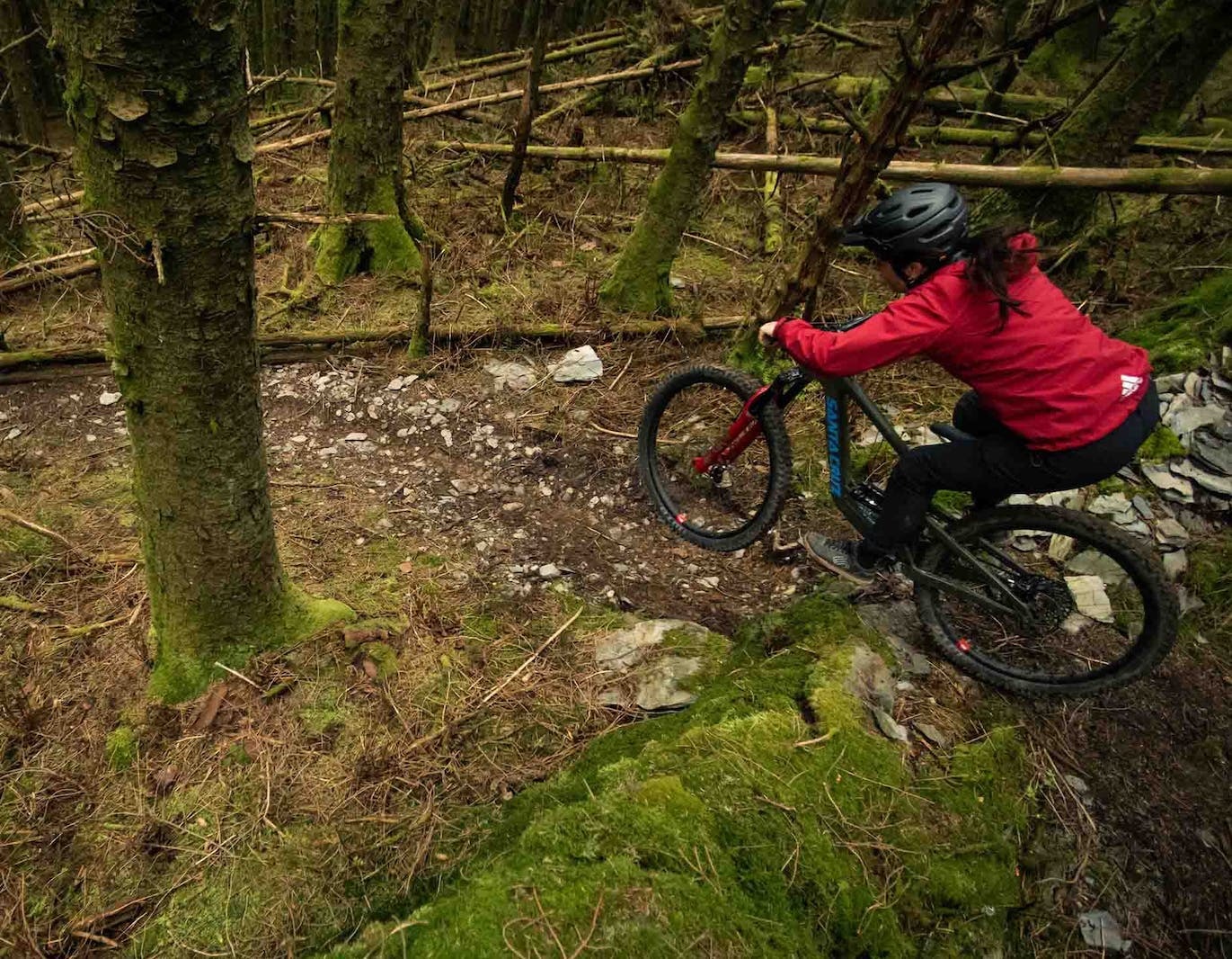 SCB_23_Bronson4.1-3