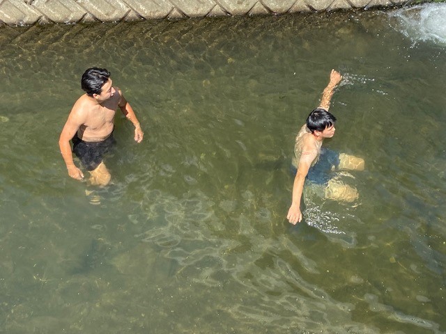 あまりの暑さで水の中へ