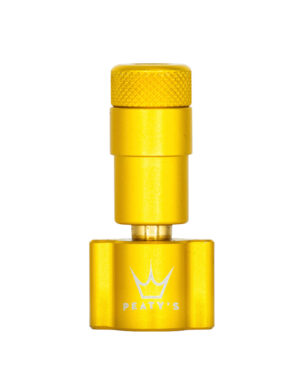 CO2-Head-Only-Gold-300x375