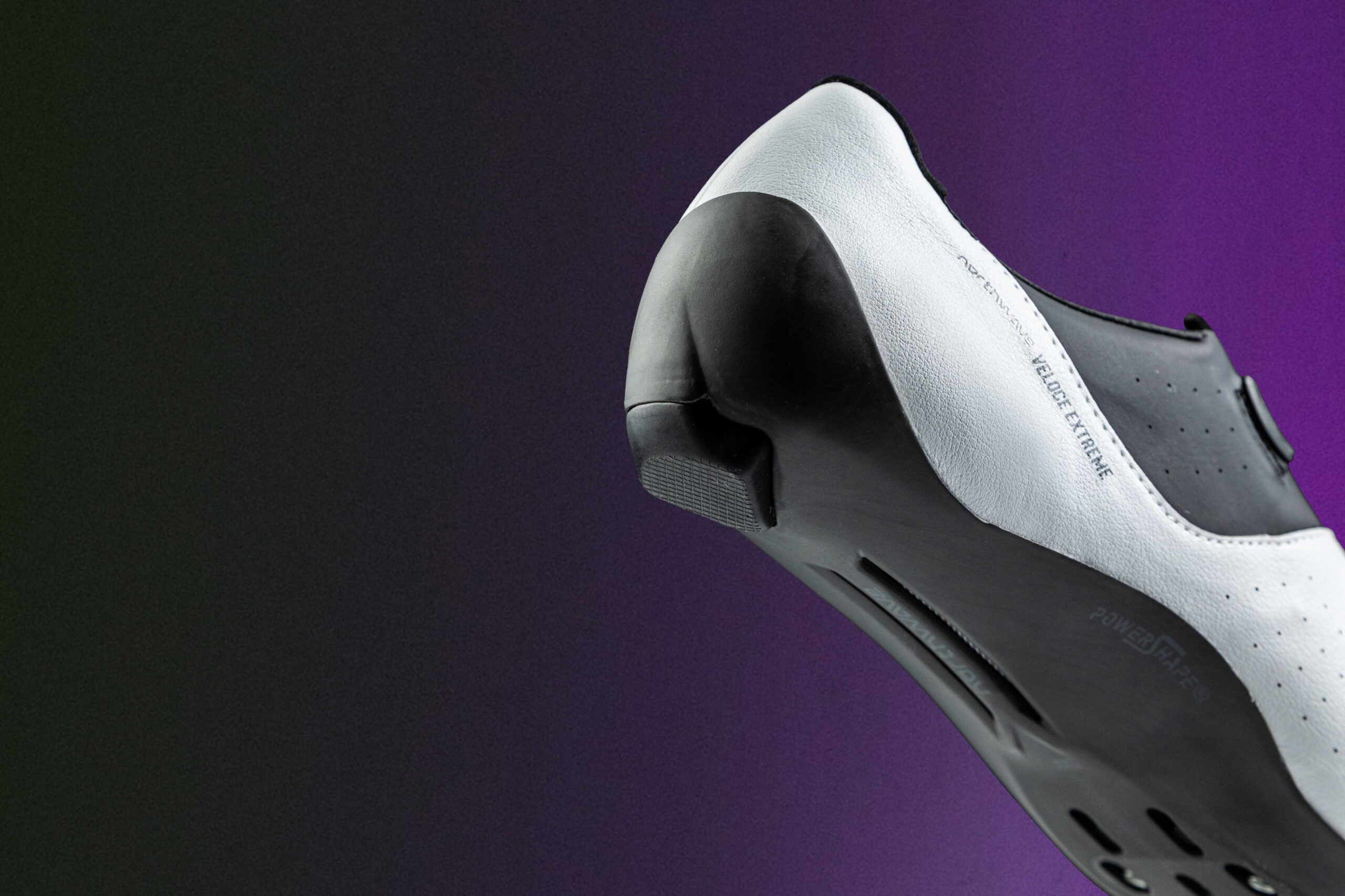 Anatomic Reticular Support 2.0 アナトミック・レティキュラー・サポート2.0