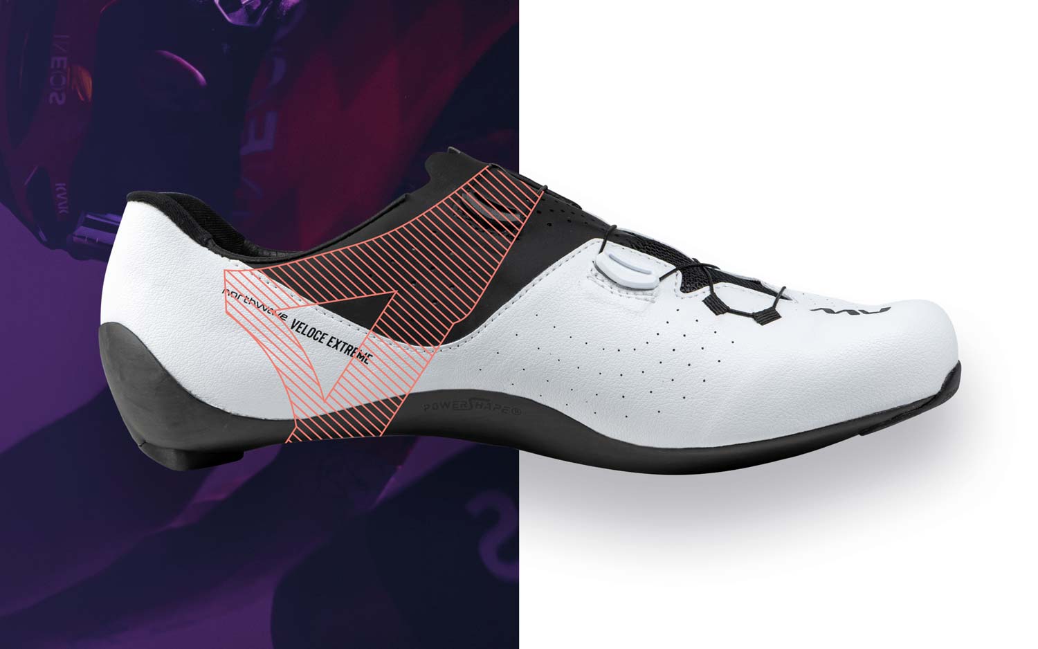 Anatomic Reticular Support 2.0 アナトミック・レティキュラー・サポート2.0
