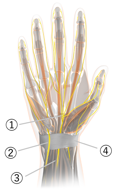 sqlab.PanelTeaser.griffpraesentation.hand_.500x500_grip-702-710-number
