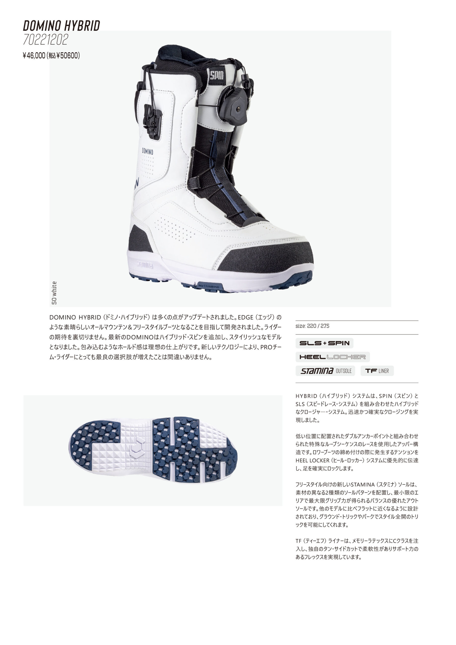 nw2425-domino-hybrid-scaled